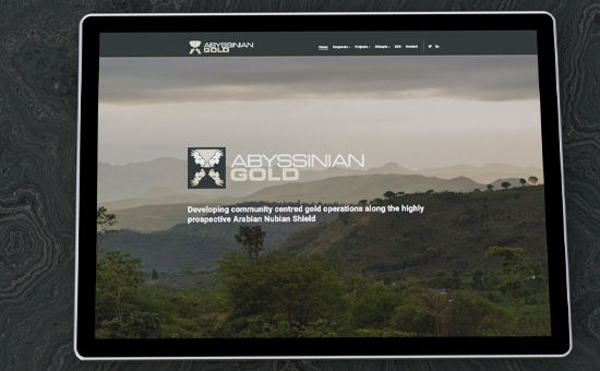 website_design550